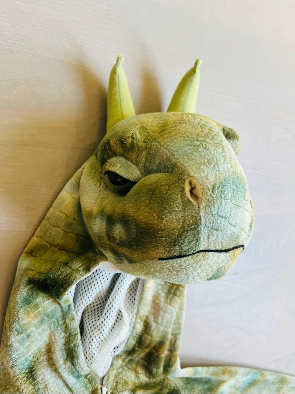 Dino kids costume